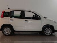 usata Fiat Panda 1.0 hybrid 70cv