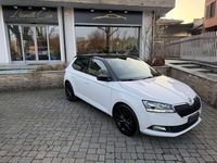 Usata Skoda Fabia 95 CV (69 kW) 2019 Bianco Berlina