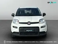 Usata Fiat Panda S 69 CV (50 kW) 2025 0q bianco puro Utilitaria