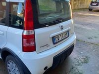 Usata Fiat Panda 4x4 Climbing 60 CV (44 kW) 2005 Bianco Utilitaria