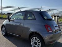 Usata Fiat 500 Lounge 69 CV (50 kW) 2020 Utilitaria