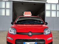 Usata Fiat Panda S 69 CV (50 kW) 2022 Rosso Berlina
