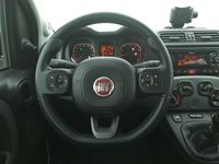 Usata Fiat Panda City Life 71 CV (52 kW) 2022 Bianco Utilitaria