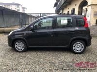 Usata Fiat Panda S 70 CV (51 kW) 2024 Nero Utilitaria