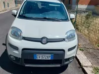 Usata Fiat Panda 4x4 S 75 CV (55 kW) 2014 Bianco Utilitaria