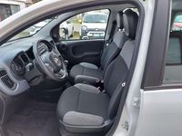 Usata Fiat Panda 69 CV (50 kW) 2021 Bianco Utilitaria