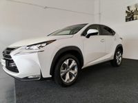 usata Lexus NX300h Hybrid 4WD Luxury