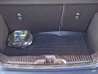 Usata Ford Fiesta Active 100 CV (73 kW) 2019 Blu Utilitaria