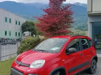 Usata Fiat Panda 4x4 85 CV (62 kW) 2019 Utilitaria