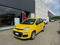 Nuova Fiat Panda Icon 64 CV (47 kW) 2026 Giallo sole (pastello) Utilitaria