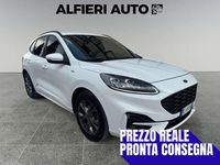 Usata Ford Kuga ST-Line X 120 CV (88 kW) 2022 Bianco SUV
