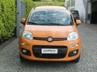Usata Fiat Panda Lounge 69 CV (50 kW) 2018 Arancione Utilitaria