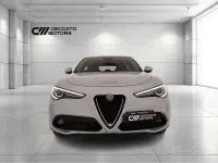 Usata Alfa Romeo Stelvio Business 190 CV (139 kW) 2020 Grigio SUV