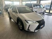 Usata Lexus UX Business Edition 145 CV (106 kW) 2020 Bianco SUV