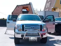 Usata Ford F-150 258 CV (189 kW) 2010 Grigio Pick-up