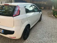 Usata Fiat Punto 75 CV (55 kW) 2011 Bianco Utilitaria