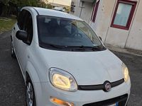 Usata Fiat Panda 2017 Bianco Utilitaria