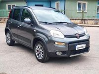 Usata Fiat Panda 4x4 S 95 CV (69 kW) 2018 Grigio Utilitaria