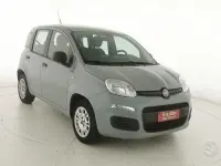 Usata Fiat Panda Easy 69 CV (50 kW) 2019 Grigio Utilitaria