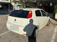 Usata Fiat Punto 2015 Bianco Utilitaria