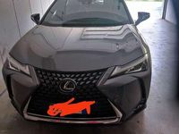 Usata Lexus UX 250h Executive Line 184 CV (135 kW) 2020 SUV