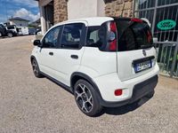 Usata Fiat Panda Sport 70 CV (51 kW) 2021 Bianco Utilitaria