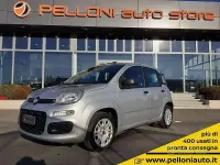 Usata Fiat Panda Easy 69 CV (50 kW) 2018 Argento Utilitaria