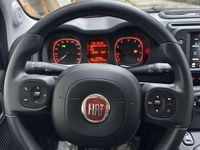Usata Fiat Panda Cross Cross 69 CV (50 kW) 2024 Utilitaria