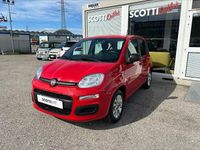 Usata Fiat Panda Easy 69 CV (50 kW) 2021 Rosso Utilitaria