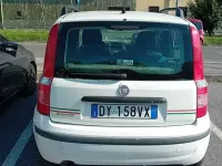 Usata Fiat Panda Dynamic 60 CV (44 kW) 2009 Bianco Utilitaria