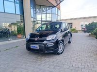 Usata Fiat Panda S 70 CV (51 kW) 2023 Nero Utilitaria