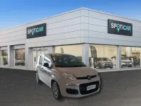 Usata Fiat Panda Easy 69 CV (50 kW) 2016 Beige Utilitaria