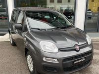 Usata Fiat Panda Easy 69 CV (50 kW) 2018 Grigio Utilitaria