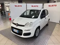 Usata Fiat Panda Easy 69 CV (50 kW) 2015 Bianco Utilitaria