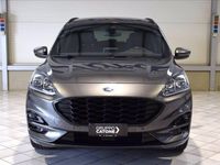 usata Ford Kuga 1.5 EcoBlue 120 CV 2WD ST-Line X