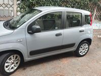 Usata Fiat Panda Easy 85 CV (62 kW) 2020 Grigio Utilitaria