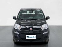 Nuova Fiat Panda Icon 69 CV (50 kW) 2025 Nero cinema pastello Utilitaria