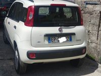 Usata Fiat Panda 85 CV (62 kW) 2013 Bianco Utilitaria
