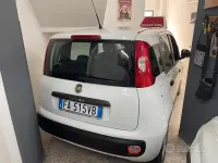 Usata Fiat Panda Easy 75 CV (55 kW) 2015 Bianco Utilitaria