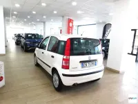 Usata Fiat Panda Active 69 CV (50 kW) 2012 Bianco Utilitaria