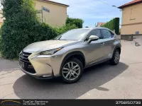 Usata Lexus NX300h Executive Line 197 CV (144 kW) 2016 Grigio SUV