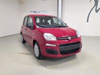 Nouvelle Fiat Panda S 69 ch (50 kW) 2025 Blanc Berline