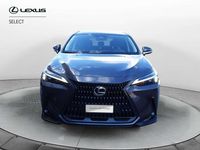 Usata Lexus NX300 309 CV (227 kW) 2023 Grigio SUV