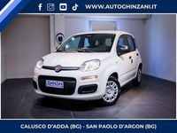 Nuova Fiat Panda S 69 CV (50 kW) 2025 Bianco gelato Utilitaria