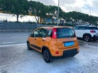 usata Fiat Panda Cross 1.0 FireFly S&S Hybrid City usato