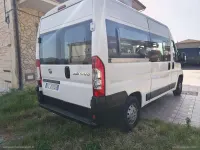 Usata Fiat Ducato 120 CV (88 kW) 2009 Bianco Furgone
