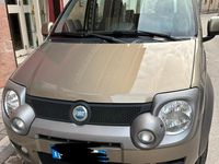 Usata Fiat Panda 4x4 Cross 69 CV (50 kW) 2007 Verde Utilitaria
