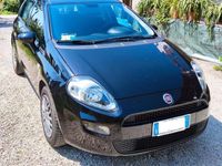 usata Fiat Punto 1.2 Benzina 2014 - 5 porte neopatentati