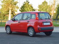Usata Fiat Panda S 71 CV (52 kW) 2021 Rosso Utilitaria