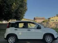 Usata Fiat Panda S 69 CV (50 kW) 2023 Bianco Utilitaria
